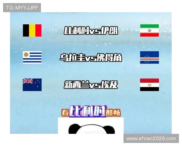 2026年比利时对伊朗世界杯发布会详细内容解读与赛事影响分析